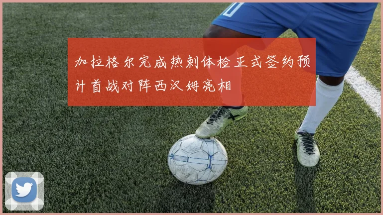 加拉格尔完成热刺体检正式签约预计首战对阵西汉姆亮相