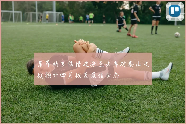 莱昂纳多伤情追溯至去年对泰山之战预计四月恢复最佳状态