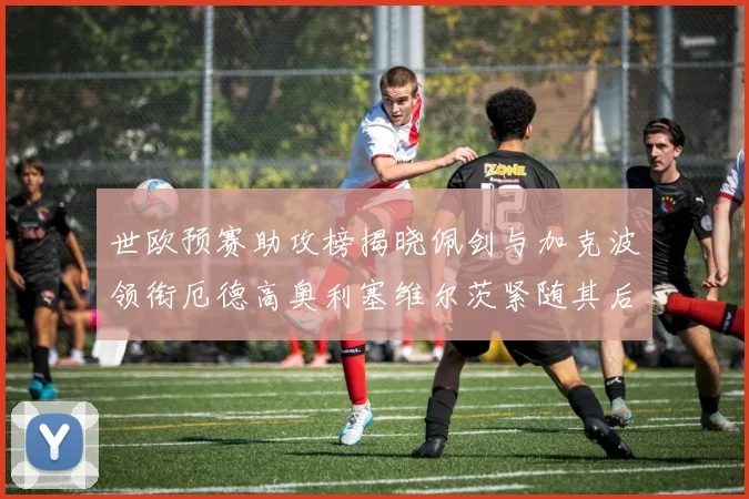 世欧预赛助攻榜揭晓佩剑与加克波领衔厄德高奥利塞维尔茨紧随其后