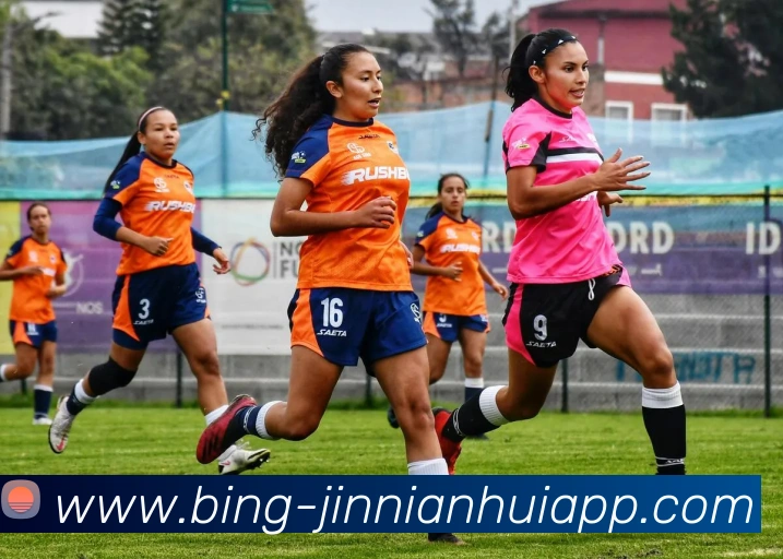 今年会官网全站App